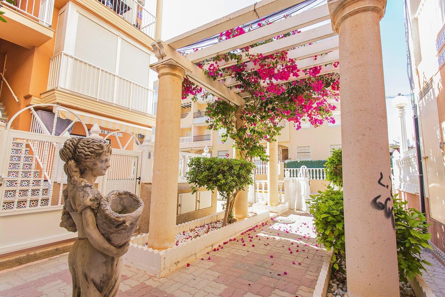 33 Terrace - Alicante Real Estate